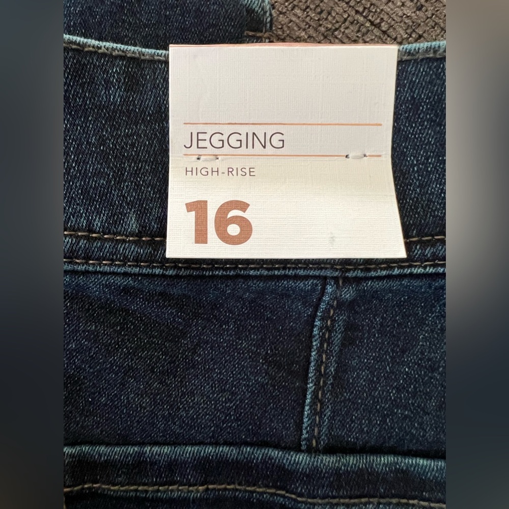 Lane Bryant brand new jeans 👖